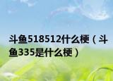 斗鱼518512什么梗（斗鱼335是什么梗）