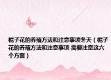 栀子花的养殖方法和注意事项冬天（栀子花的养殖方法和注意事项 需要注意这六个方面）