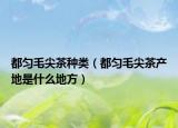 都匀毛尖茶种类（都匀毛尖茶产地是什么地方）