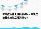 家里摆放什么植物最招财（家里摆放什么植物招财又旺宅）
