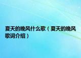 夏天的晚风什么歌（夏天的晚风歌词介绍）