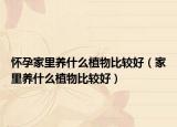 怀孕家里养什么植物比较好（家里养什么植物比较好）
