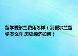 留学爱尔兰费用怎样（到爱尔兰留学怎么样 历史经济如何）