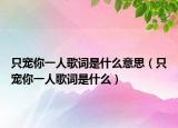 只宠你一人歌词是什么意思（只宠你一人歌词是什么）