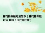 兰花的养殖方法如下（兰花的养殖方法 有以下几方面注意）