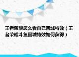 王者荣耀怎么看自己回城特效（王者荣耀斗鱼回城特效如何获得）