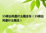 15级台风是什么概念车（15级台风是什么概念）
