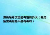 煮熟后老虎鱼的毒性有多大（老虎鱼煮熟后是不是有毒吗）