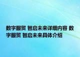 数字服贸 智启未来详细内容 数字服贸 智启未来具体介绍