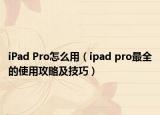 iPad Pro怎么用（ipad pro最全的使用攻略及技巧）