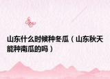 山东什么时候种冬瓜（山东秋天能种南瓜的吗）