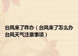 台风来了咋办（台风来了怎么办台风天气注意事项）