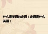 什么是英语的定语（定语是什么英语）