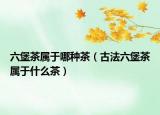 六堡茶属于哪种茶（古法六堡茶属于什么茶）