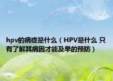hpv的病症是什么（HPV是什么 只有了解其病因才能及早的预防）