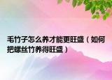 毛竹子怎么养才能更旺盛（如何把螺丝竹养得旺盛）
