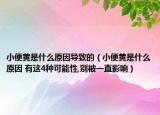小便黄是什么原因导致的（小便黄是什么原因 有这4种可能性,别被一直影响）