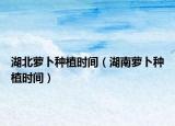 湖北萝卜种植时间（湖南萝卜种植时间）