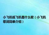 小飞机纸飞机是什么歌（小飞机歌词简单介绍）