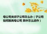 母公司关闭子公司怎么办（子公司如何脱离母公司 其中怎么运作）
