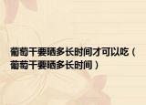 葡萄干要晒多长时间才可以吃（葡萄干要晒多长时间）