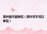茶叶能不能种花（茶叶可不可以养花）