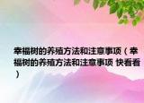 幸福树的养殖方法和注意事项（幸福树的养殖方法和注意事项 快看看）