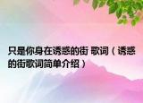 只是你身在诱惑的街 歌词（诱惑的街歌词简单介绍）
