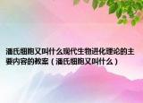 潘氏细胞又叫什么现代生物进化理论的主要内容的教案（潘氏细胞又叫什么）