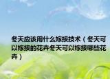 冬天应该用什么嫁接技术（冬天可以嫁接的花卉冬天可以嫁接哪些花卉）