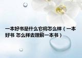 一本好书是什么它将怎么样（一本好书 怎么样去理解一本书）