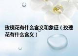 玫瑰花有什么含义和象征（玫瑰花有什么含义）