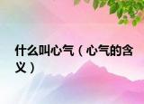 什么叫心气（心气的含义）