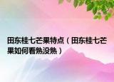 田东桂七芒果特点（田东桂七芒果如何看熟没熟）