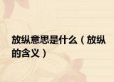 放纵意思是什么（放纵的含义）