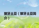 狼牙土豆（狼牙土豆简介）