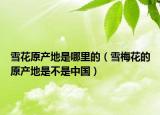 雪花原产地是哪里的（雪梅花的原产地是不是中国）