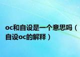 oc和自设是一个意思吗（自设oc的解释）