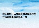兰花育种方法及注意事项如果按照方法走结果肯定大不一样