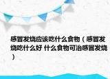 感冒发烧应该吃什么食物（感冒发烧吃什么好 什么食物可治感冒发烧）