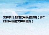 龙井茶什么时候采摘最好喝（哪个时间采摘的龙井茶最好）