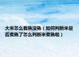 大米怎么看熟没熟（如何判断米是否煮熟了怎么判断米煮熟啦）