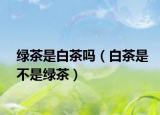 绿茶是白茶吗（白茶是不是绿茶）