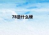 78是什么梗