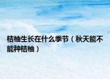 桔柚生长在什么季节（秋天能不能种桔柚）
