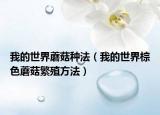 我的世界蘑菇种法（我的世界棕色蘑菇繁殖方法）