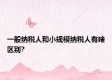 一般纳税人和小规模纳税人有啥区别?