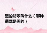 黑的翡翠叫什么（哪种翡翠是黑的）