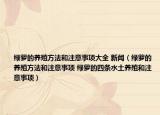 绿萝的养殖方法和注意事项大全 新闻（绿萝的养殖方法和注意事项 绿萝的四条水土养殖和注意事项）