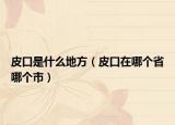皮口是什么地方（皮口在哪个省哪个市）